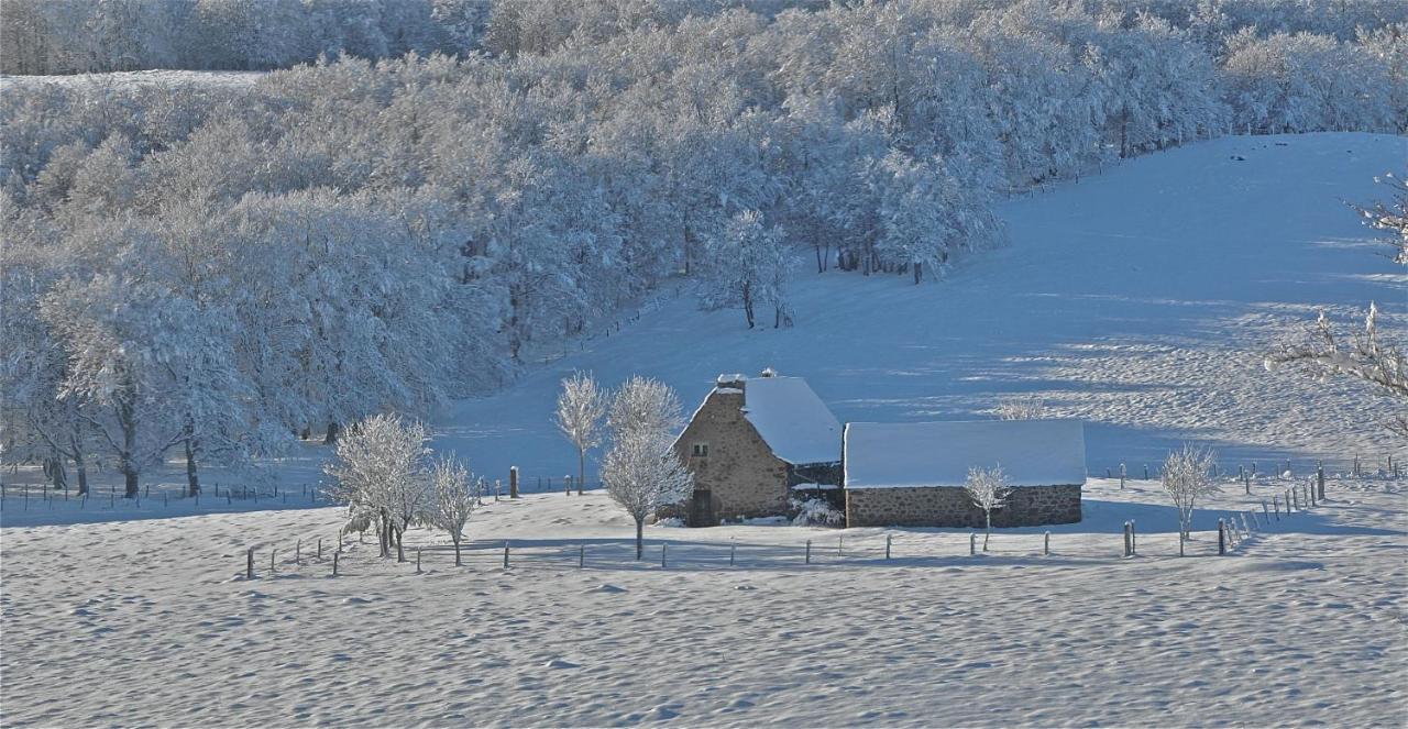 Bed and Breakfast Aux Portes D'Aubrac Studio 2 Personnes Condom-d'Aubrac Exteriér fotografie